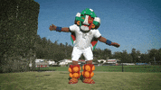 GIF by MiSelecciónMX
