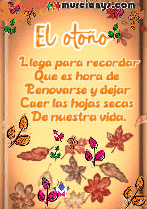 Flores Llega GIF by Murcianys LLC