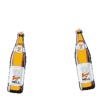 Beer Bier Sticker by Stiegl