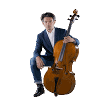 Gautier Capucon Facepalm Sticker by Warner Music France