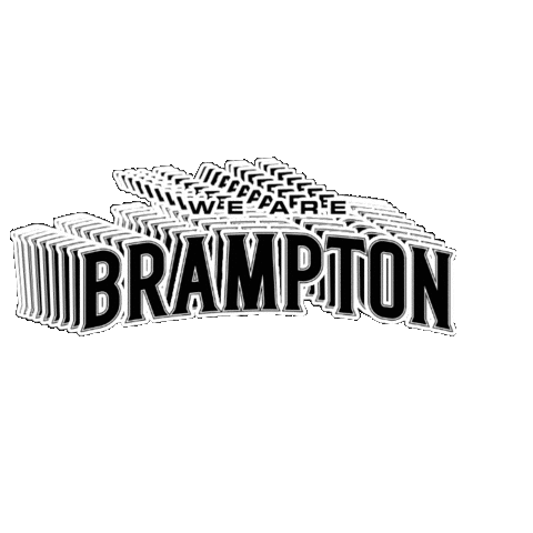 Basketball Nba Sticker by Brampton Honey Badgers