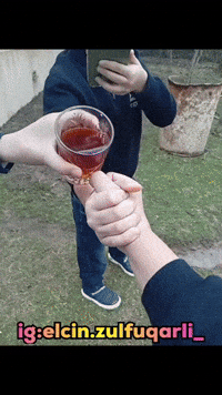 Elcin GIF