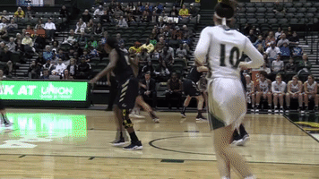 marchontribe GIF by William & Mary Tribe Athletics