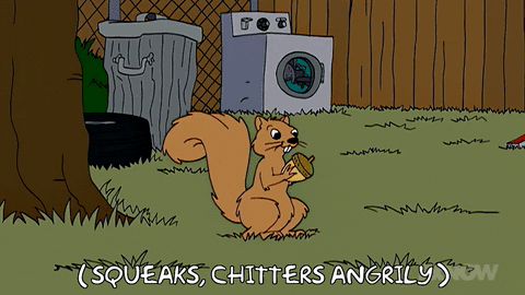 Episode 1 Squirrel GIF by The Simpsons