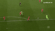 Wout Weghorst Football GIF by VfL Wolfsburg