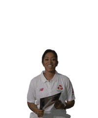 cricket bat Sticker by NatWest