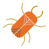 Bug Beetle Sticker by Take Note Papelaria