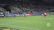 guerra raca GIF by SE Palmeiras