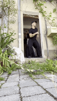 Dance Dancing GIF