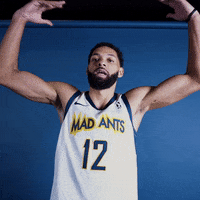 themadants basketball nba lets go hype GIF