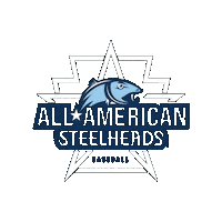 Sticker by All American Baseball