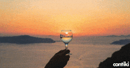 Contiki  GIF