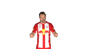 Andreas Ulmer Cheer Sticker by FC Red Bull Salzburg