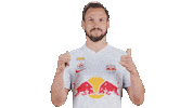 Andreas Ulmer Football Sticker by FC Red Bull Salzburg
