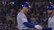Chicago Cubs Baseball GIF