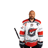 Hokej Ton Sticker by Piráti Chomutov