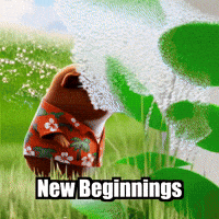 New Beginnings Wisdom GIF by Guinea Gambino