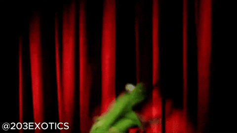 203EXOTICSNACKS giphyupload snacks connecticut snack time GIF