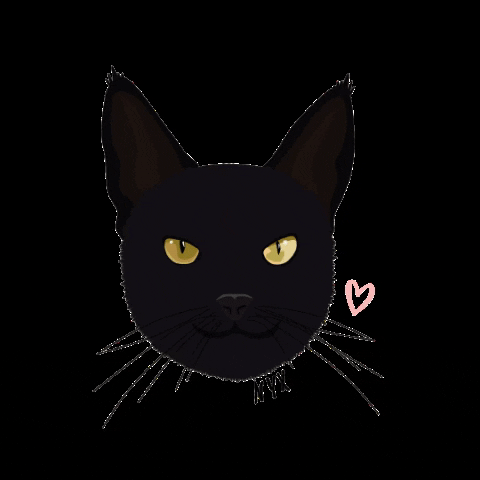 pawtraitsbymrm black cat nyx nyx chapter nyxchapter GIF