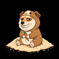 Shiba Inu Lol GIF by Doge Pound