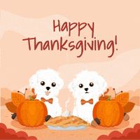 Apple Pie Dogs GIF by HammyandBrody