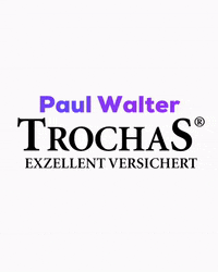 GIF by TrochaS