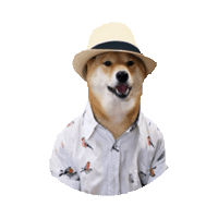 summer beach STICKER by imoji