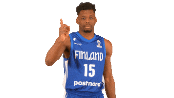 National Team Basketball Sticker by Basket_fi