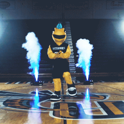 yellow jacket GIF by Cedarville University