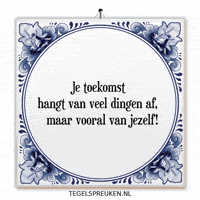 Humor Nl GIF by Tegelspreuken.nl