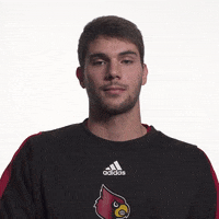University Of Louisville Swimming GIF by Louisville Cardinals