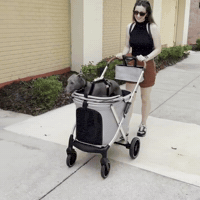 Baby Dog Whipper GIF