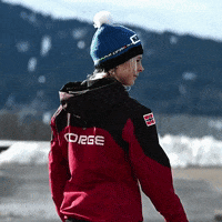 Skijumping GIF by Michael
