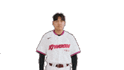 Kbo Sticker by Kiwoom Heroes Baseball Club