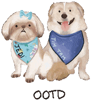 Shih Tzu Fashion Sticker
