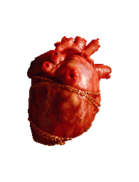 How To Be Lonely Sticker by Rita Ora