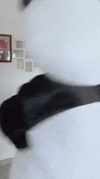 Confused Catch Me GIF