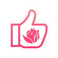 DuzaniLingerie fashion like moda lingerie Sticker