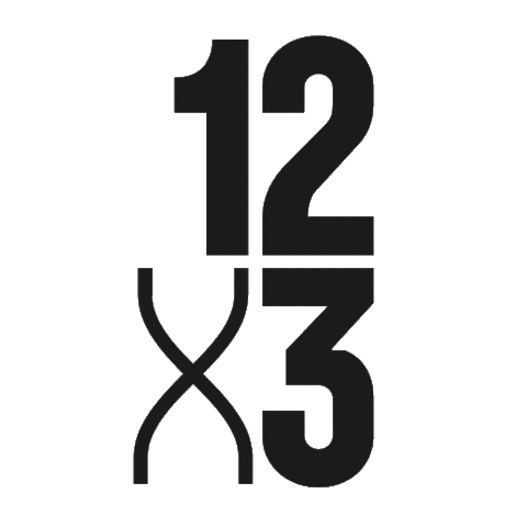 12x3gym fight fitness workout boxing Sticker