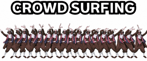 Music Festival Concert GIF