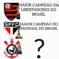 Libertadores GIF