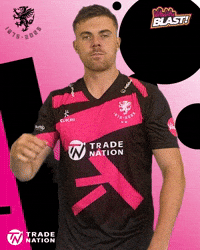Celebration Ball GIF by Somerset County Cricket Club