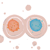 Tte Sticker by Allergan Aesthetics LATAM