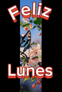 Salud Buenos Dias GIF by Murcianys LLC