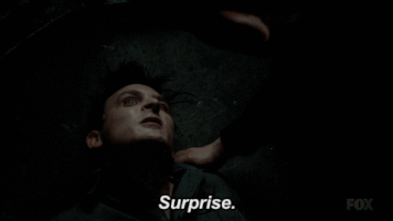 fox broadcasting GIF by Gotham