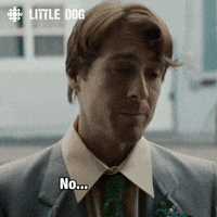 dog no GIF by CBC