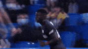 Europa League Yes GIF by SK Sturm Graz