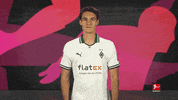 Posing Line Up GIF by Bundesliga