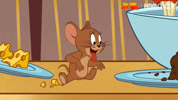 Tom And Jerry Thanksgiving GIF by HBO Max