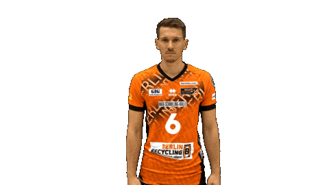 Volleyball Berlin Sticker by BR Volleys